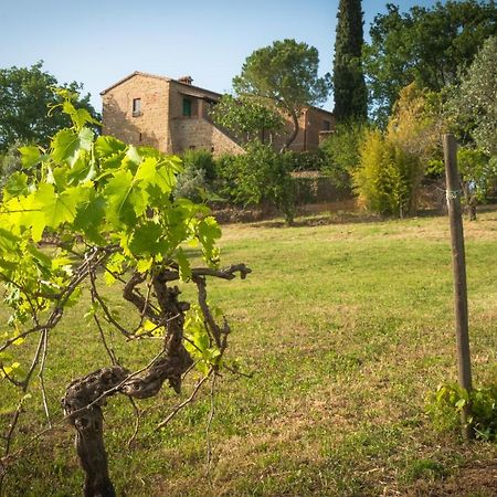 Holiday Home Arpicella Pienza Exteriér fotografie